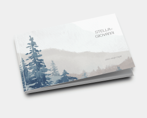 Painted Mountains - Guest book