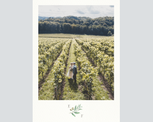 Painted Winery - Poster (verticale)