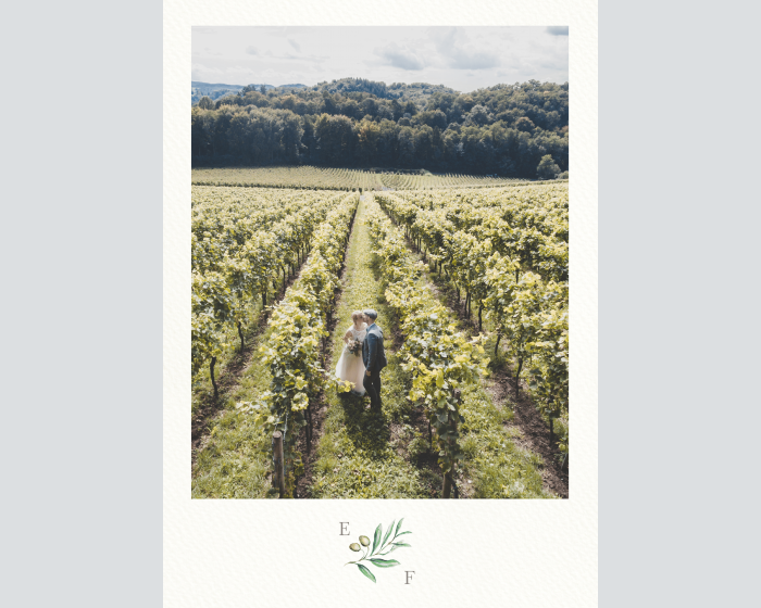 Painted Winery - Poster (verticale)